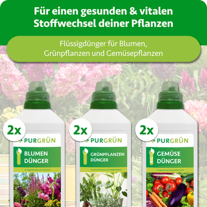 Klassiker-Mix - 3 x 2 Liter