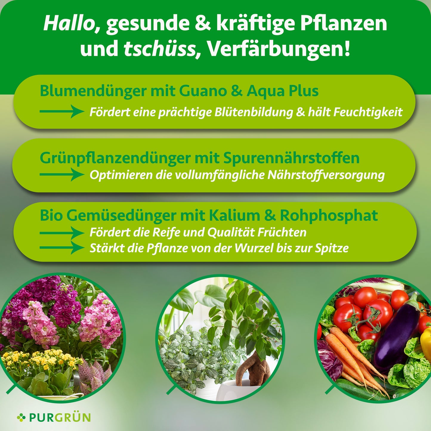 Klassiker-Mix - 3 x 2 Liter