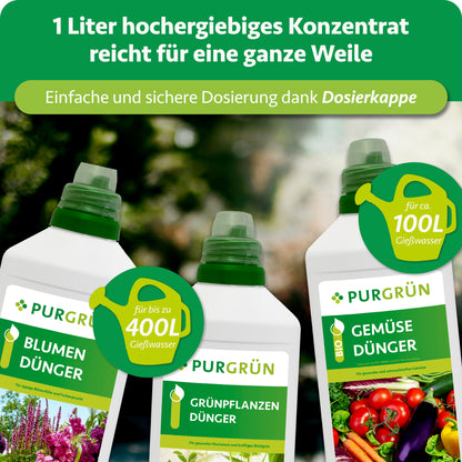 Klassiker-Mix - 3 x 2 Liter