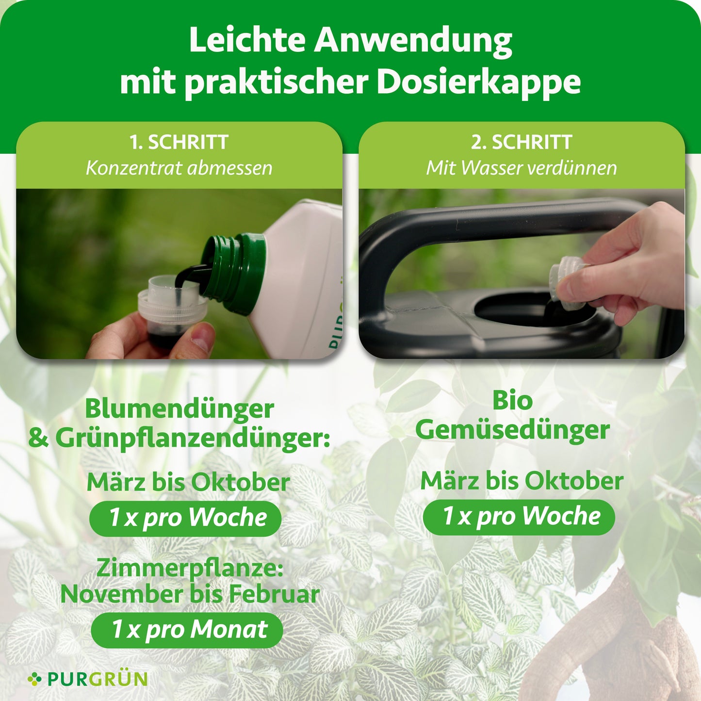 Klassiker-Mix - 3 x 2 Liter