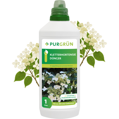 Eine 1-Liter-Flasche Purgrün Kletterhortensie-Dünger mit grünem Deckel und Hortensien-Etikett. Dieser Dünger ist ideal für Kletterhortensien und unterstützt eine üppige Blüte; das Etikett weist auf die Verwendung für Kletterhortensien hin.