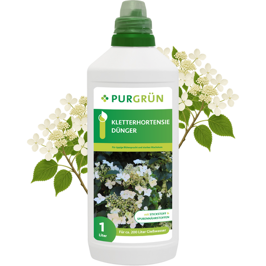 Eine 1-Liter-Flasche Purgrün Kletterhortensie-Dünger mit grünem Deckel und Hortensien-Etikett. Dieser Dünger ist ideal für Kletterhortensien und unterstützt eine üppige Blüte; das Etikett weist auf die Verwendung für Kletterhortensien hin.
