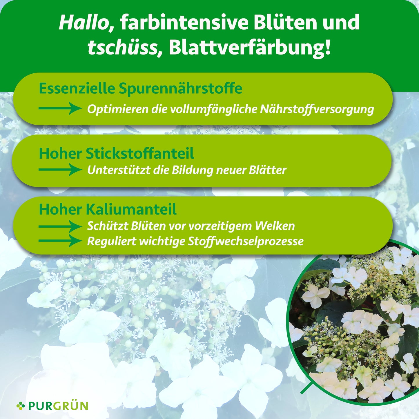 Kletterhortensie-Dünger 1 Liter