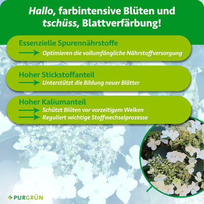 Kletterhortensie-Dünger 1 Liter