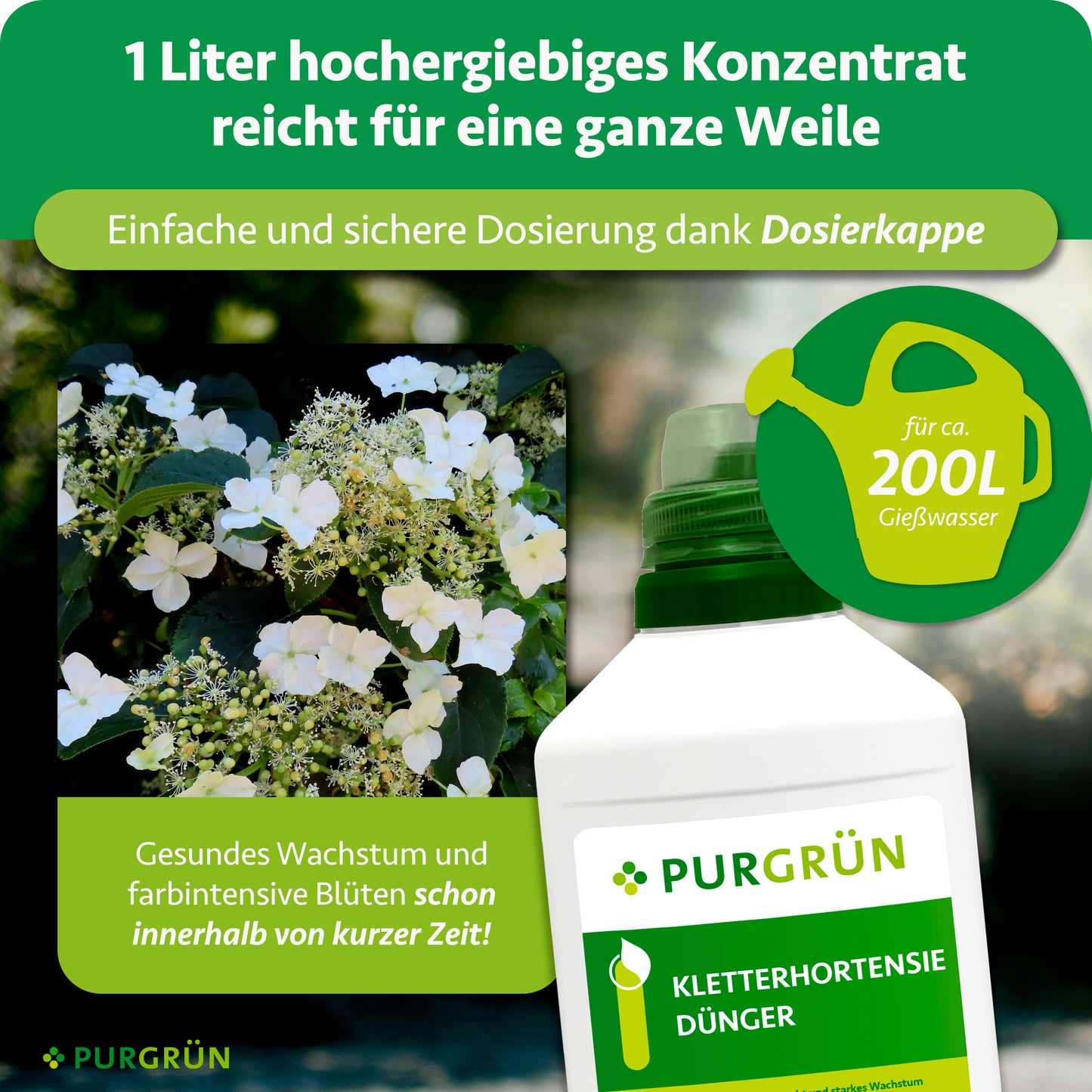 Kletterhortensie-Dünger 1 Liter