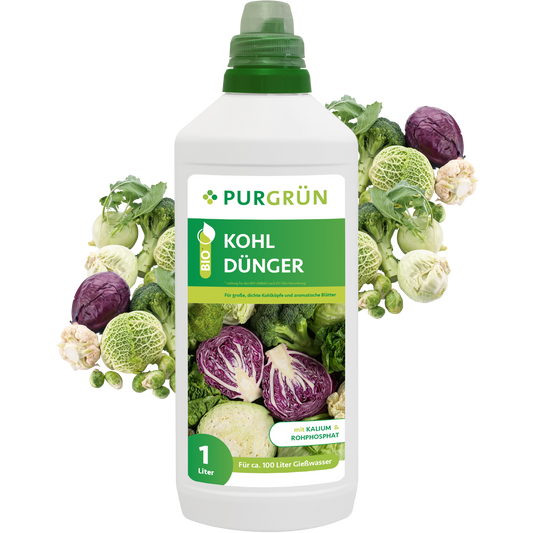 Der 1-Liter-Purgrün Bio-Kohl-Dünger zeichnet sich durch einen grünen Deckel und Abbildungen von Rot- und Grünkohl auf dem Etikett aus. Hergestellt aus organischen Komponenten, reicht dieser Dünger für ca. 100 Liter Gießwasser.