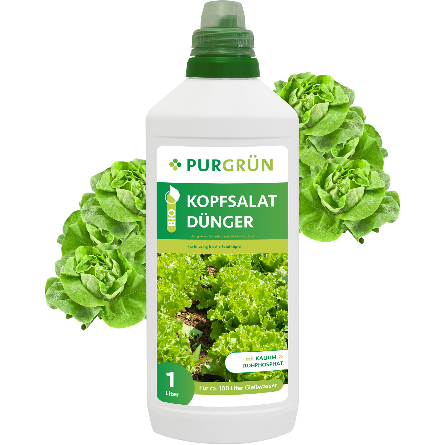 Eine 1-Liter-Flasche Purgrün Bio-Kopfsalat-Dünger mit grüner Beschriftung und Salatbildern, umgeben von frischem Salat – perfekt für den Hochbeetanbau und vollgepackt mit wichtigen Nährstoffen für Salatpflanzen.