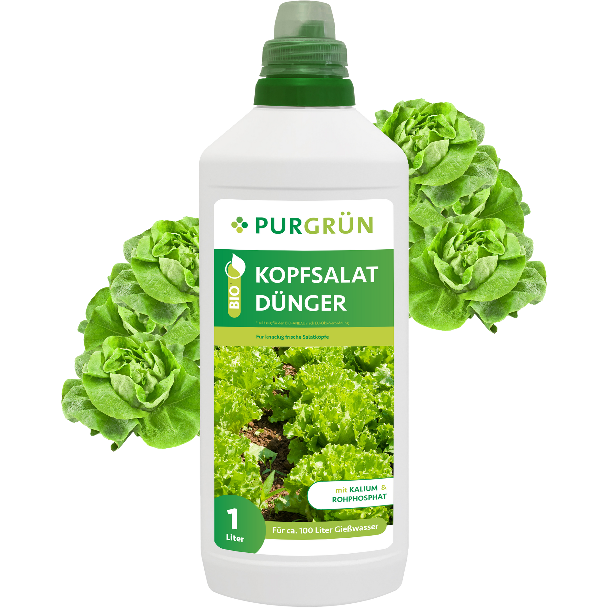 Eine 1-Liter-Flasche Purgrün Bio-Kopfsalat-Dünger mit grüner Beschriftung und Salatbildern, umgeben von frischem Salat – perfekt für den Hochbeetanbau und vollgepackt mit wichtigen Nährstoffen für Salatpflanzen.
