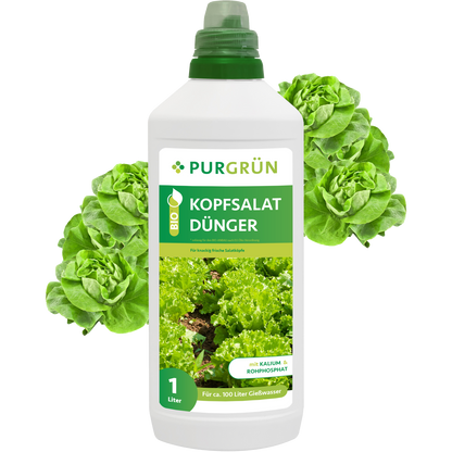 Eine 1-Liter-Flasche Purgrün Bio-Kopfsalat-Dünger mit grüner Beschriftung und Salatbildern, umgeben von frischem Salat – perfekt für den Hochbeetanbau und vollgepackt mit wichtigen Nährstoffen für Salatpflanzen.