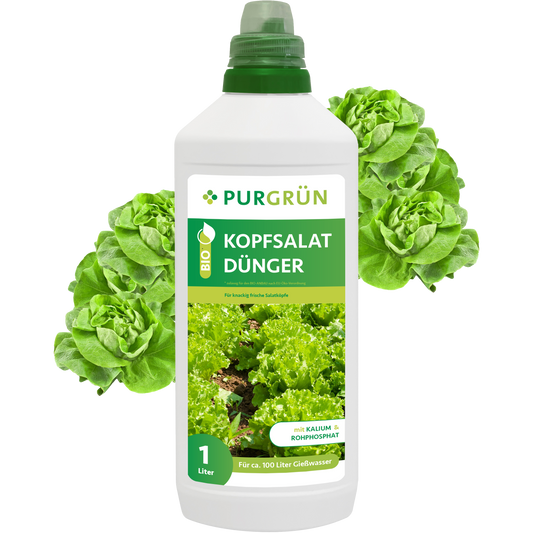 Eine 1-Liter-Flasche Purgrün Bio-Kopfsalat-Dünger mit grüner Beschriftung und Salatbildern, umgeben von frischem Salat – perfekt für den Hochbeetanbau und vollgepackt mit wichtigen Nährstoffen für Salatpflanzen.