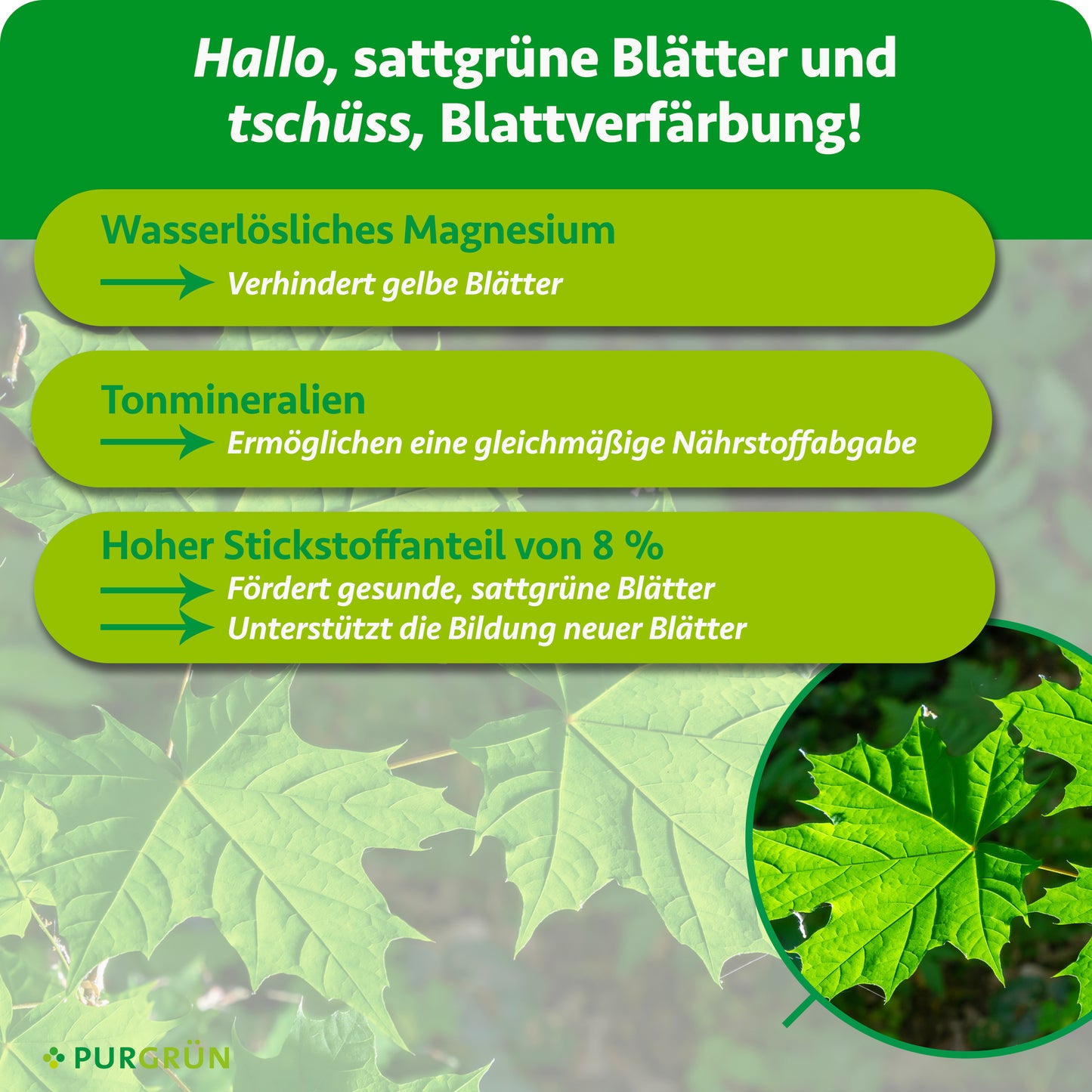 Kugelahorn-Dünger 1 kg