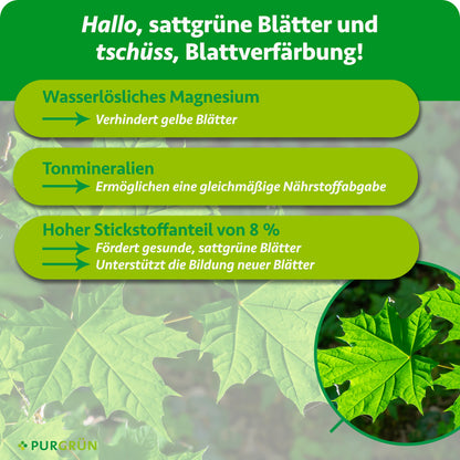 Kugelahorn-Dünger 1 kg