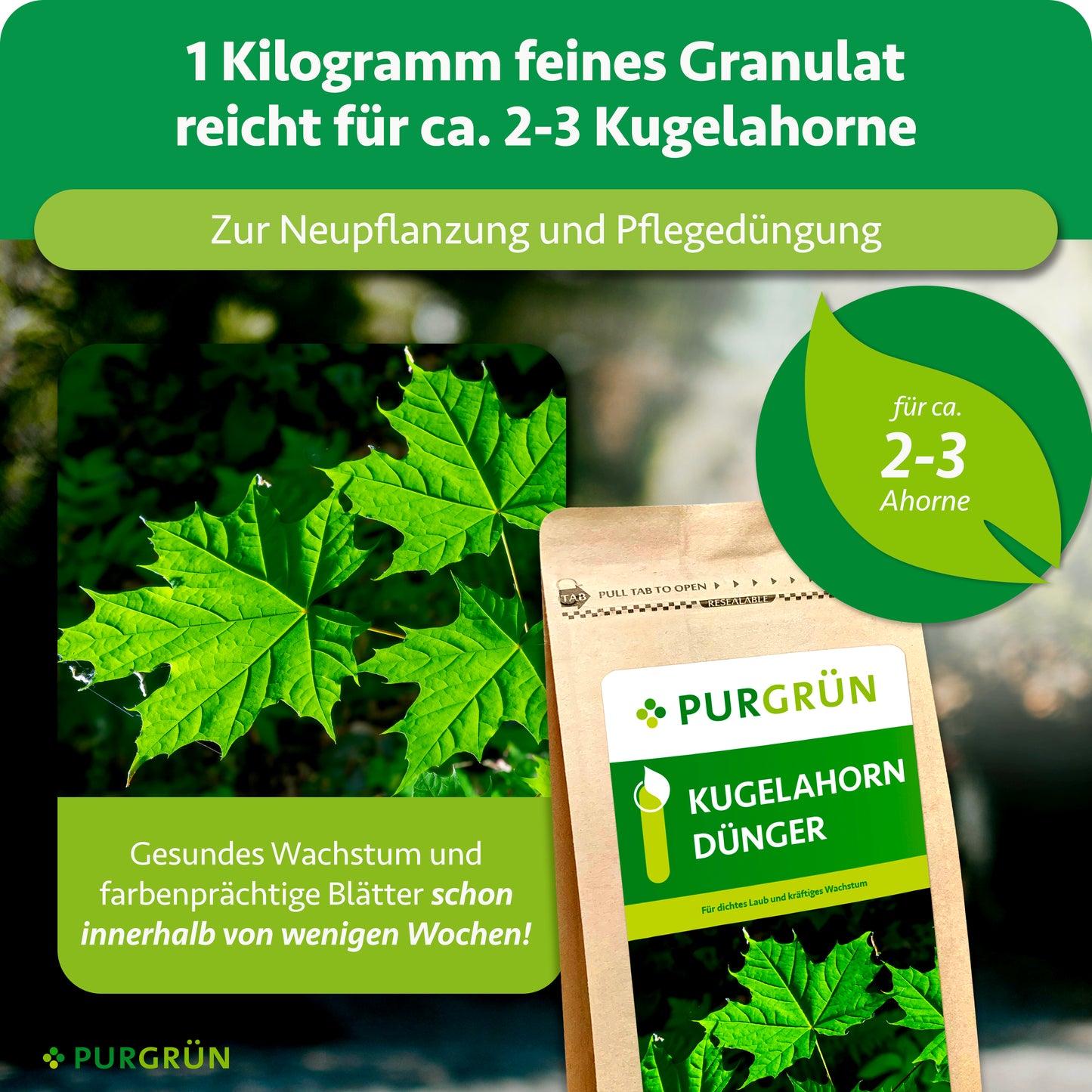 Kugelahorn-Dünger 1 kg