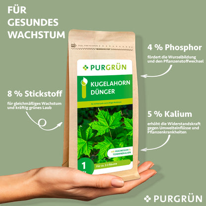 Kugelahorn-Dünger 1 kg