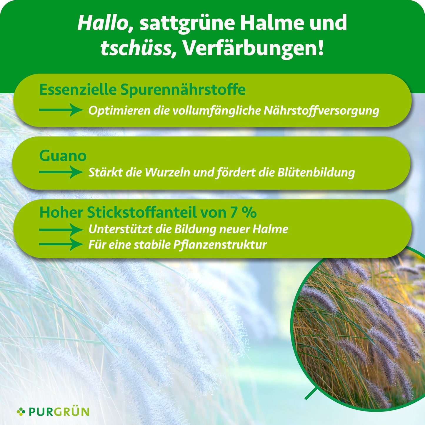 Lampenputzergras-Dünger 1 Liter