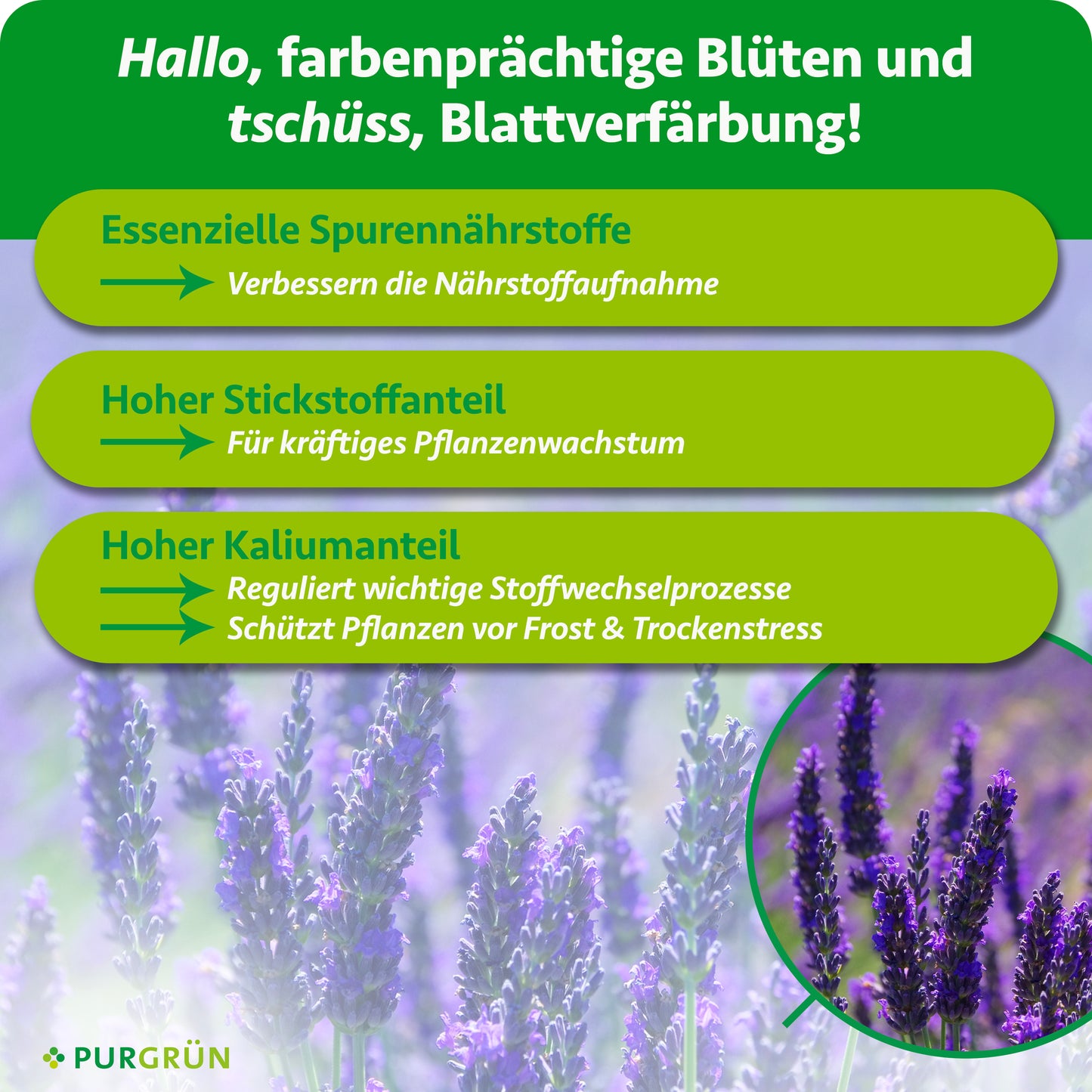 Lavendel-Dünger 1 Liter