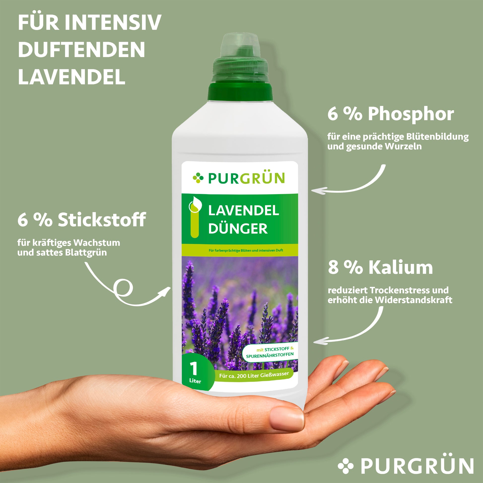 Eine Hand hält eine 1-Liter-Flasche Purgrün Lavendel-Dünger. Das Etikett mit Lavendelblüten weist auf 6 % Stickstoff, 6 % Phosphor und 8 % Kalium hin - wichtige Nährstoffe für üppiges Wachstum und lebendige Lavendelblüten.