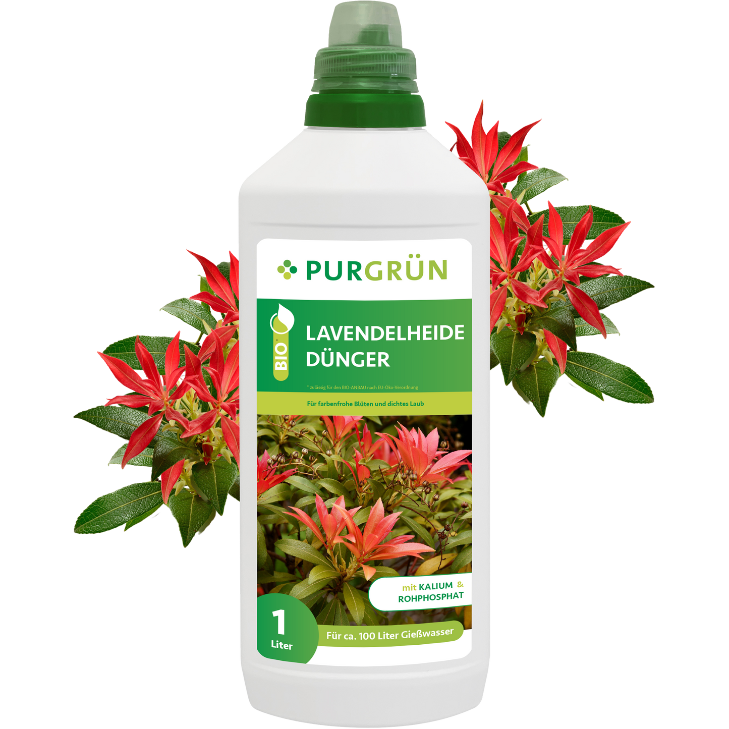 Eine 1-Liter-Flasche Purgrün Bio-Lavendelheide-Dünger mit grünem Verschluss, roten und grünen Lavendelheide-Pflanzen auf dem Etikett und umgeben von roten Blüten. Enthält organische Nährstoffe zur gezielten Blütenbildung.