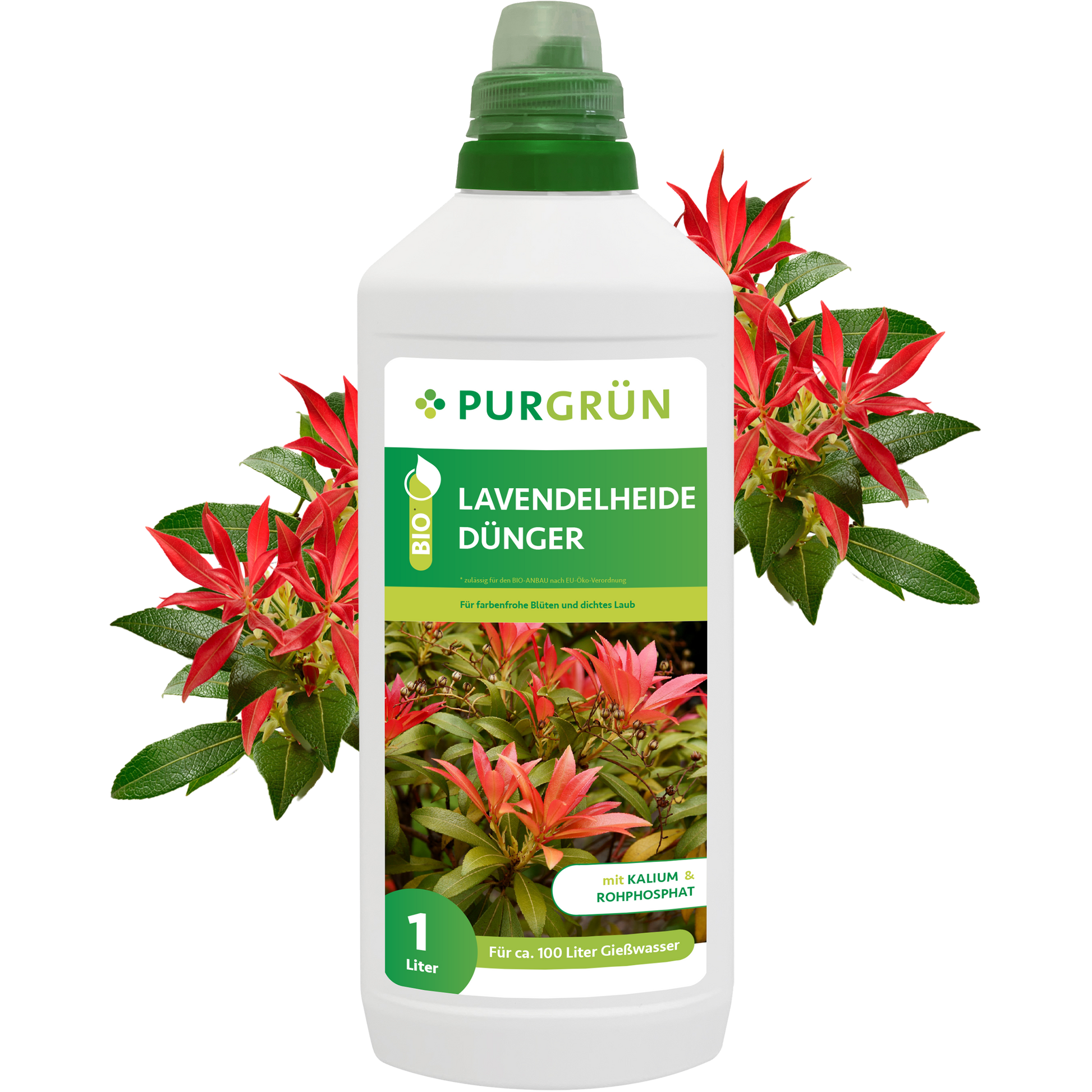 Eine 1-Liter-Flasche Purgrün Bio-Lavendelheide-Dünger mit grünem Verschluss, roten und grünen Lavendelheide-Pflanzen auf dem Etikett und umgeben von roten Blüten. Enthält organische Nährstoffe zur gezielten Blütenbildung.