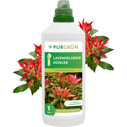 Eine 1-Liter-Flasche Purgrün Bio-Lavendelheide-Dünger mit grünem Verschluss, roten und grünen Lavendelheide-Pflanzen auf dem Etikett und umgeben von roten Blüten. Enthält organische Nährstoffe zur gezielten Blütenbildung.