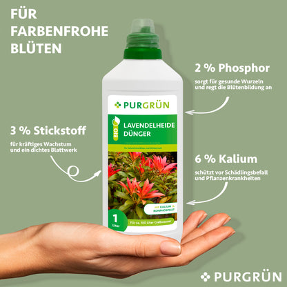Eine Hand hält eine 1-Liter-Flasche Purgrün Bio-Lavendelheide-Dünger. Auf dem Etikett sind leuchtende Blüten und der Text zu sehen: 2 % Phosphor für Blüten, 3 % Stickstoff für üppiges Laub und 6 % Kalium für gesunde Pflanzen.