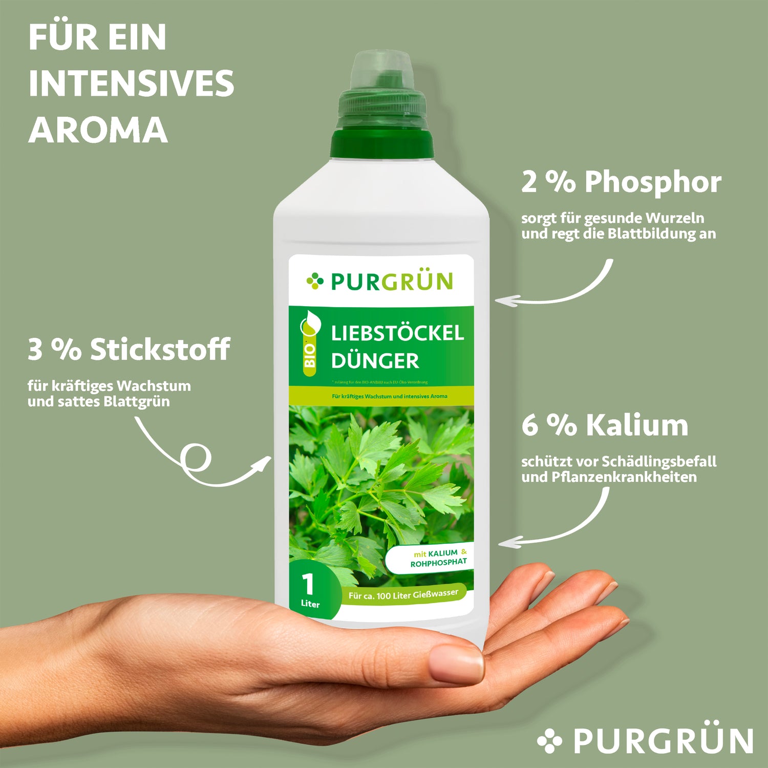 Eine Hand hält eine 1-Liter-Flasche Purgrün Bio-Liebstöckel-Dünger. Der Text zeigt 3 % Stickstoff für Blätter, 2 % Phosphor für Wurzeln und 6 % Kalium für die Pflanzengesundheit. Weiße Etiketten, Pfeile und die Aufschrift „Gesteigerte Bodenaktivität“ auf grünem Hintergrund.