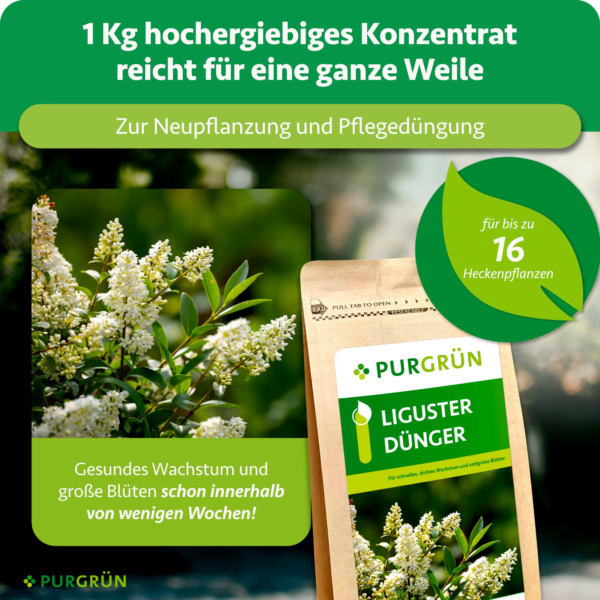 Purgrün Liguster-Dünger 1 kg