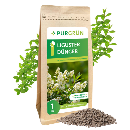 Liguster-Dünger 1 kg