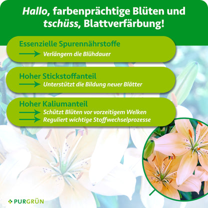 Lilien-Dünger 1 Liter