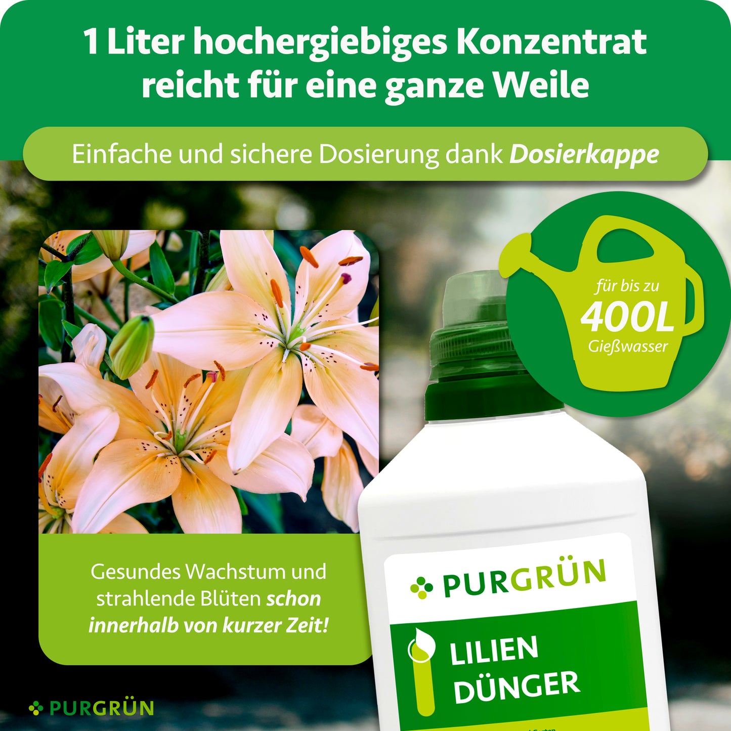 Lilien-Dünger 1 Liter