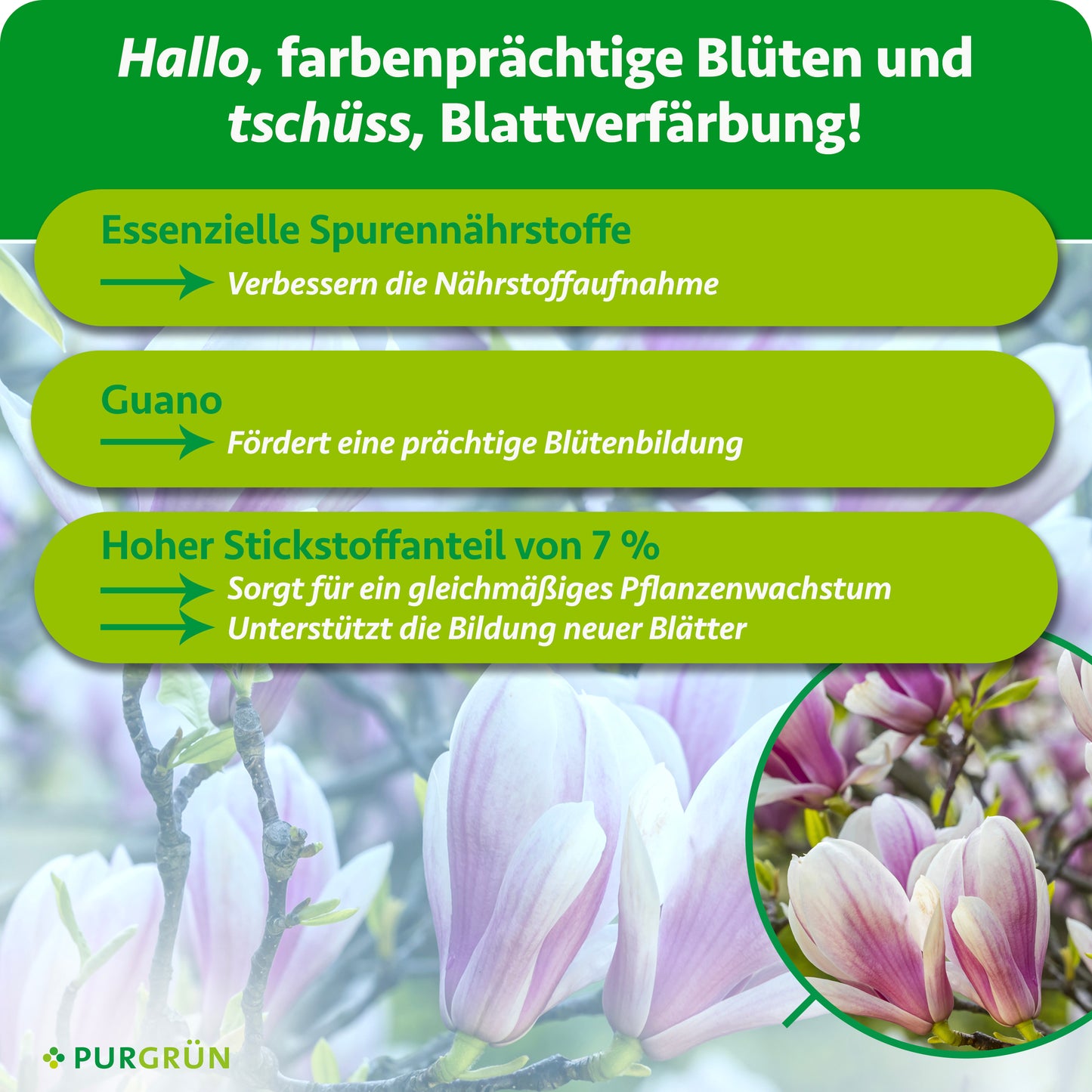 Magnoliendünger 1 Liter