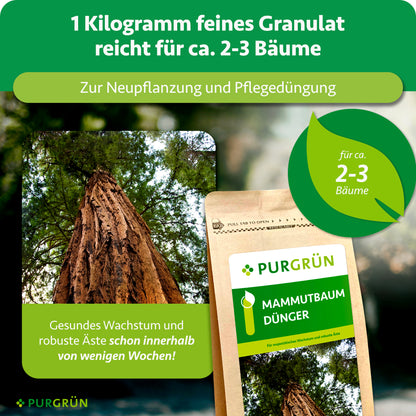 Mammutbaum-Dünger 1 kg