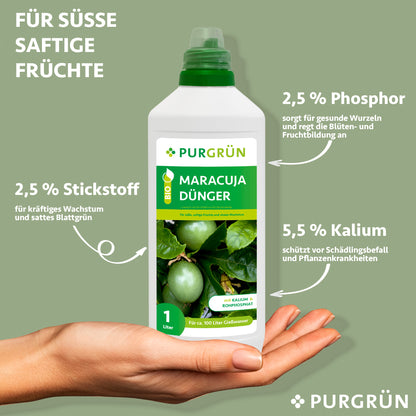 Eine Hand hält eine 1-Liter-Flasche Purgrün Bio-Maracuja-Dünger. Das Etikett mit Passionsfrüchten hebt die Nährstoffe hervor: 2,5 % Phosphor, 2,5 % Stickstoff und 5,5 % Kalium für gesunde, fruchtige Maracuja-Pflanzen in diesem organisch-mineralischen Dünger.