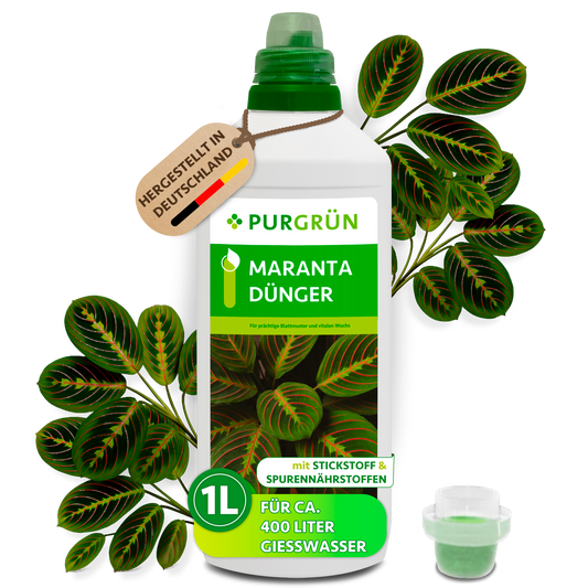 Purgrün Maranta-Dünger in der 1-Liter-Flasche mit Dosierkappe, umgeben von Maranta-Blättern und mit Anhänger „Hergestellt in Deutschland“.
