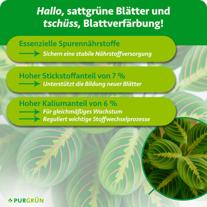 Essenzielle Spurennährstoffe sichern die Nährstoffversorgung; 7 % Stickstoff unterstützen neue Blätter und 6 % Kalium gleichmäßiges Wachstum sowie wichtige Stoffwechselprozesse.