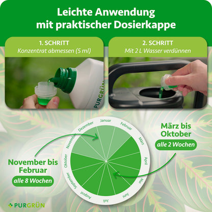 Anwendung: 5 ml Konzentrat abmessen und mit 2 l Wasser verdünnen. Von März bis Oktober alle 2 Wochen, von November bis Februar alle 8 Wochen düngen.