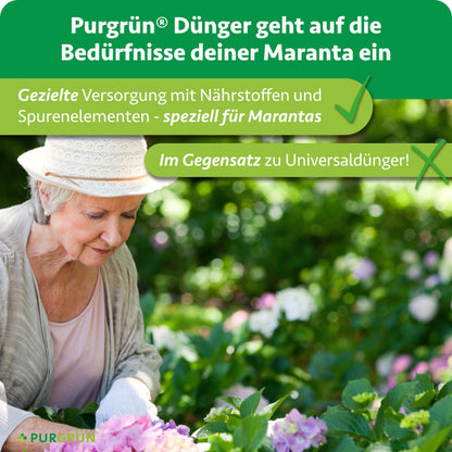 Gezielte Versorgung mit Nährstoffen und Spurenelementen speziell für Marantas, im Gegensatz zu Universaldünger.
