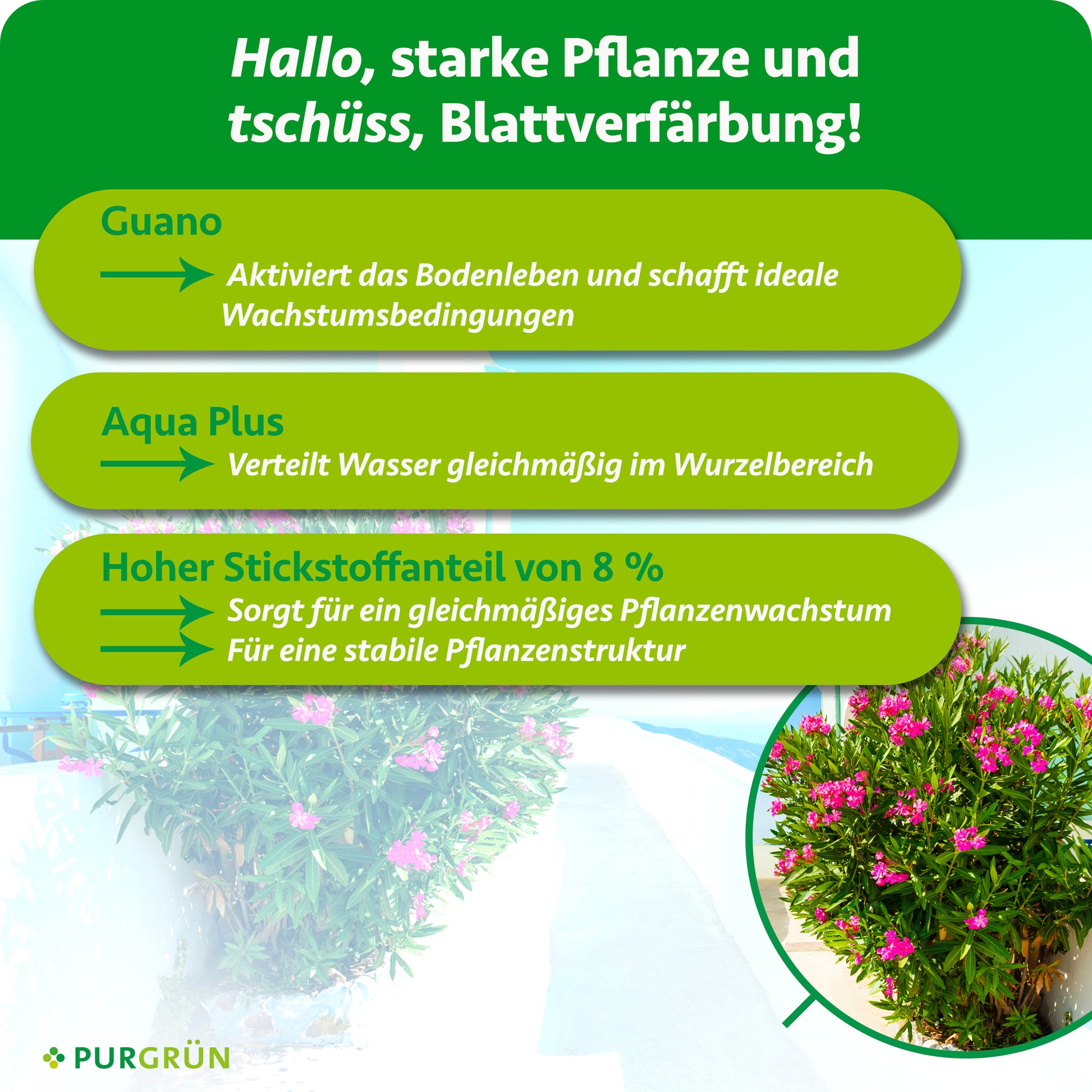 dünger pflanze Purgrün Mediterran-Dünger 1 Liter