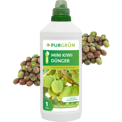 Purgrün Bio-Mini-Kiwi-Dünger 1 Liter ist ein organischer Dünger aus organischen Rohstoffen. Verpackt mit einem grünen Deckel und Mini-Kiwi-Bildern unterstützt er die gesunde Pflanzenernährung und Fruchtentwicklung.