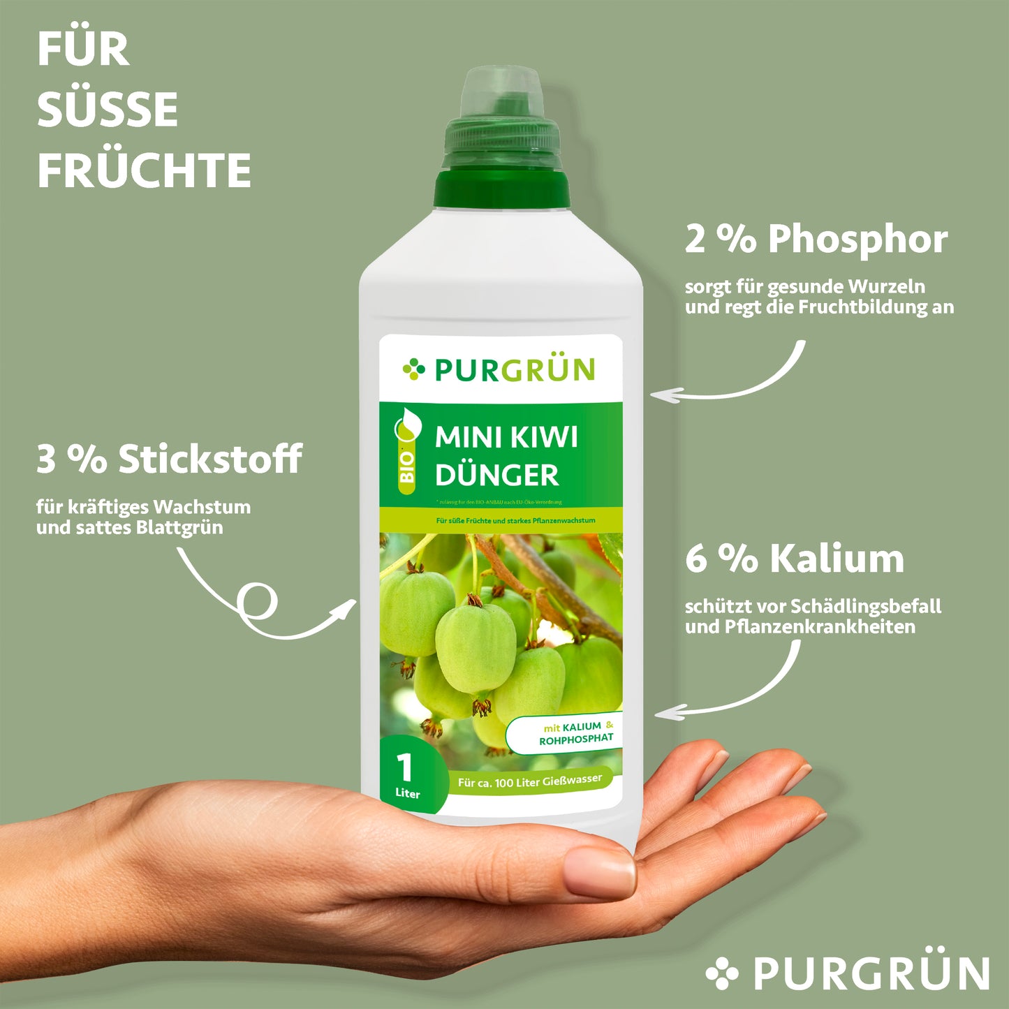 Eine Hand hält eine 1-Liter-Flasche Purgrün Bio-Mini-Kiwi-Dünger. Pfeile markieren die Nährstoffe: 3 % Stickstoff, 2 % Phosphor und 6 % Kalium – perfekt für süße Früchte und optimales Kiwi-Wachstum. Auf dem Etikett sind Kiwis abgebildet.