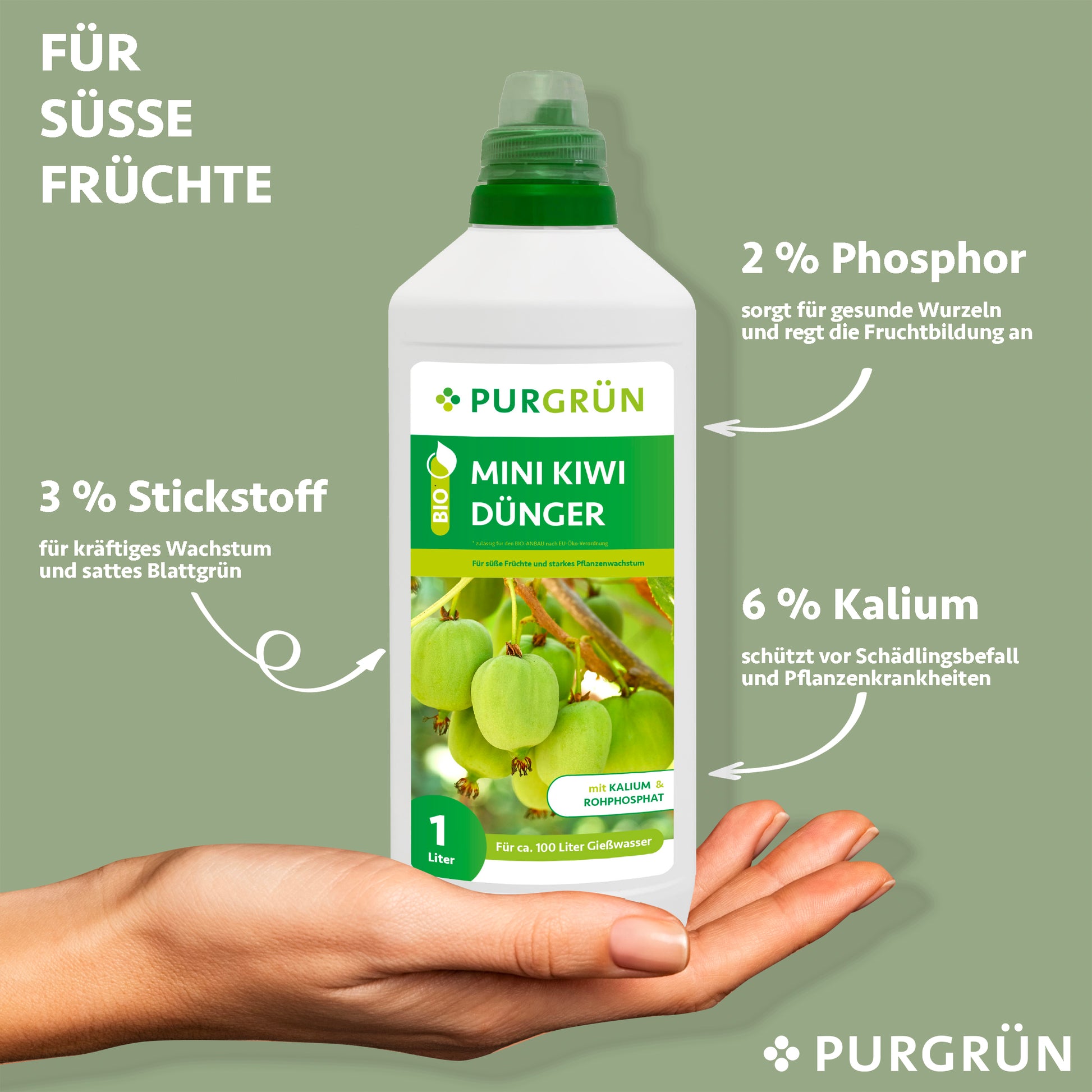 Eine Hand hält eine 1-Liter-Flasche Purgrün Bio-Mini-Kiwi-Dünger. Pfeile markieren die Nährstoffe: 3 % Stickstoff, 2 % Phosphor und 6 % Kalium – perfekt für süße Früchte und optimales Kiwi-Wachstum. Auf dem Etikett sind Kiwis abgebildet.