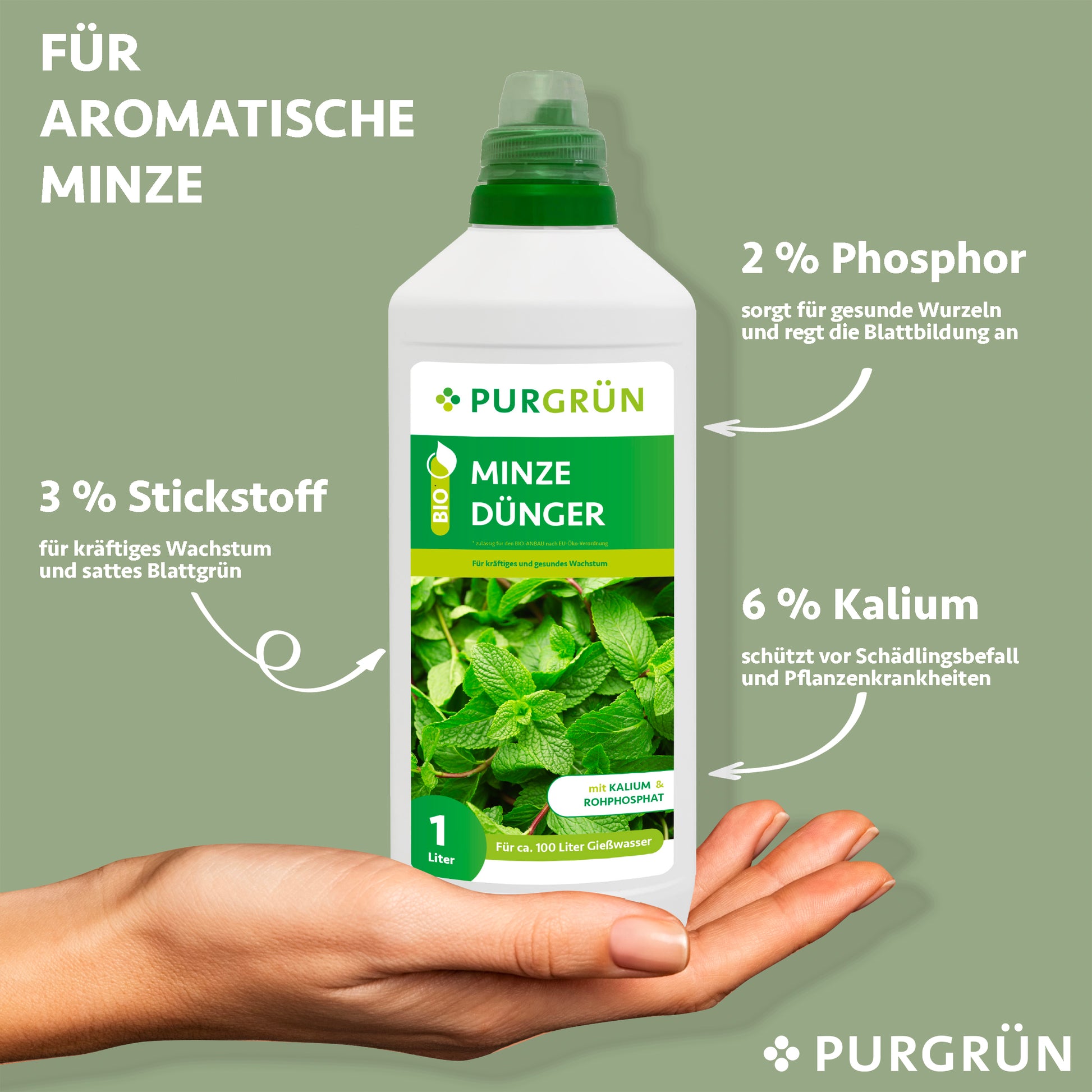 Eine Hand hält eine Flasche Purgrün Bio-Minze-Dünger 1 Liter. Auf dem Etikett sind Minzblätter abgebildet. Der Text nennt die Inhaltsstoffe für die Pflanzengesundheit: 3 % Stickstoff, 2 % Phosphor und 6 % Kalium.
