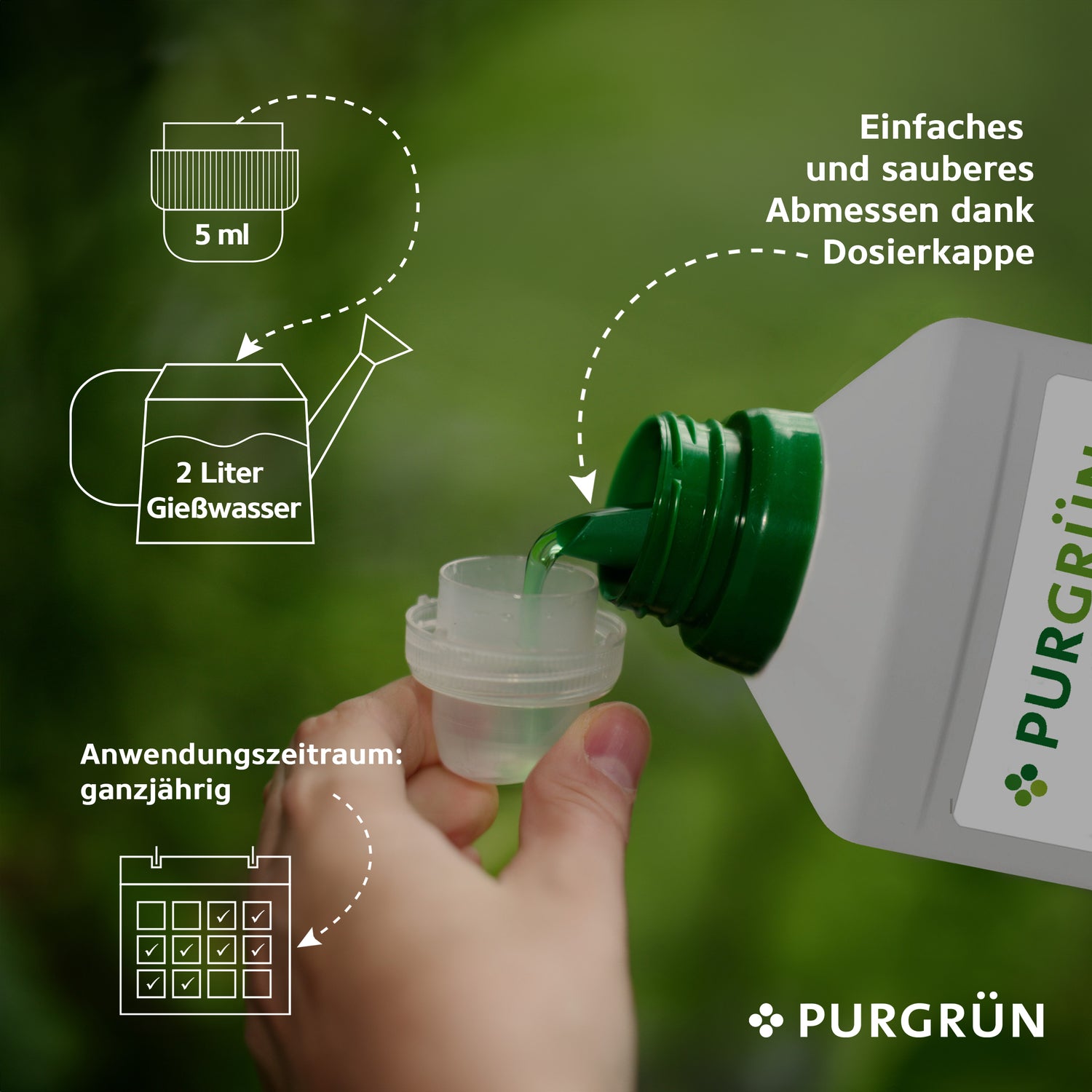 Eine Hand gießt Monstera-Deliciosa-Dünger 1 Liter von Purgrün in einen Verschluss, mit Symbolen für 5 ml auf 2L Wasser, einfache Dosierung, Mineraldünger und kräftiges Wachstum – alles auf grünem, unscharfem Hintergrund.