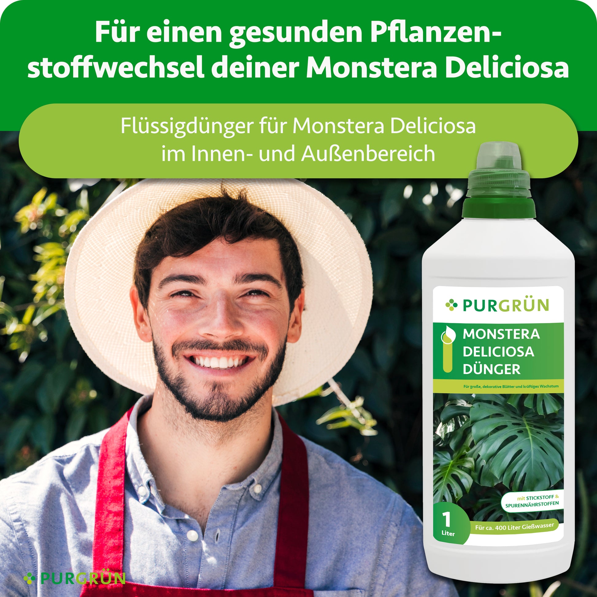 monstera deliciosa dünger Purgrün Monstera-Deliciosa-Dünger 1 Liter