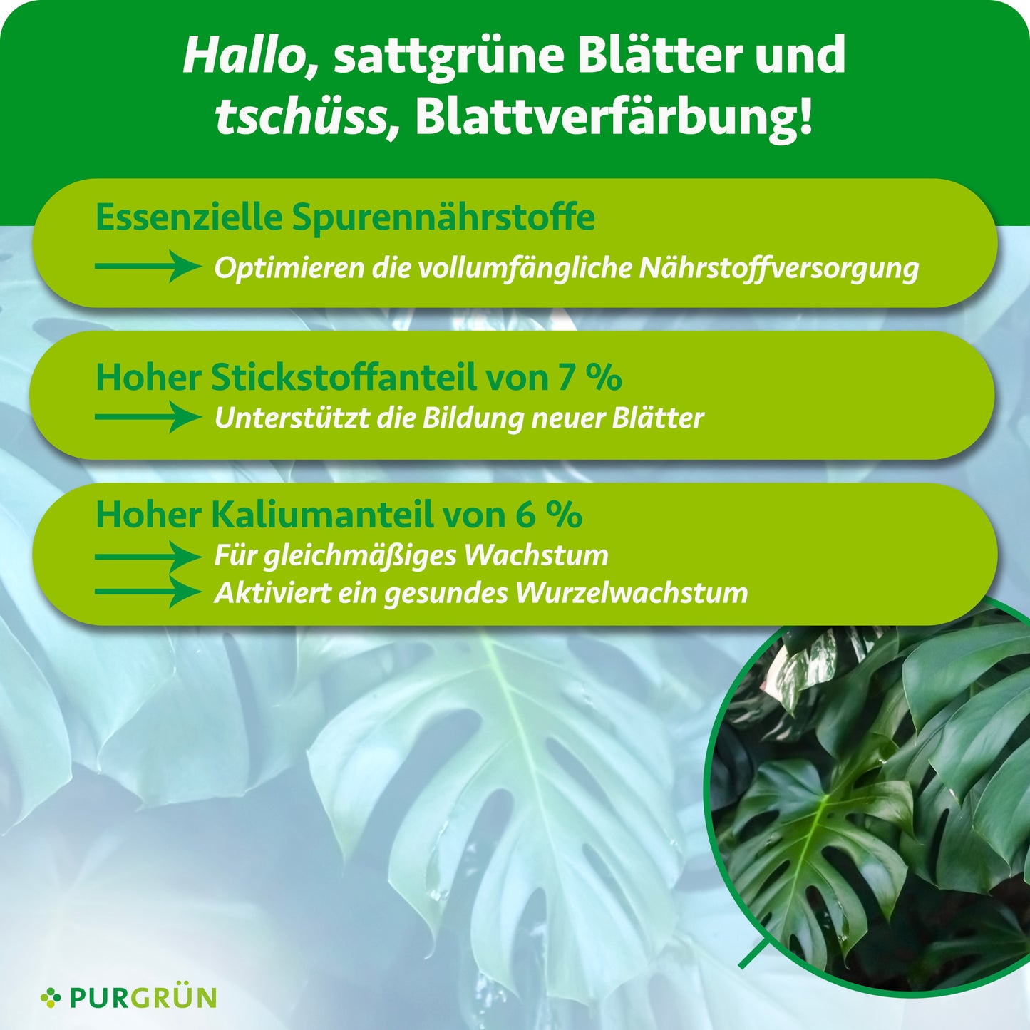 Monstera-Deliciosa-Dünger 1 Liter
