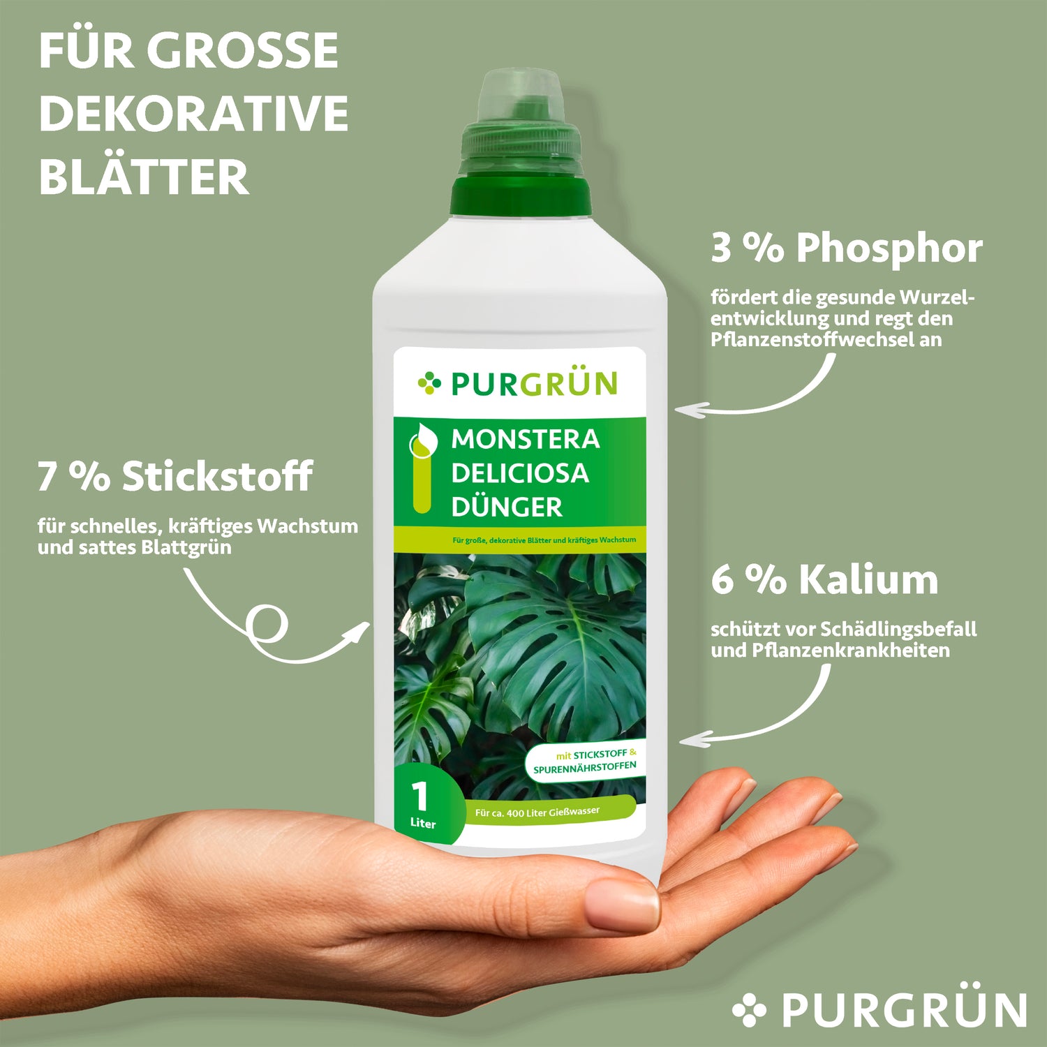 Eine Hand hält eine Flasche Purgrün Monstera-Deliciosa-Dünger 1 Liter. Texthervorhebungen: 7 % Stickstoff für kräftiges Wachstum, 3 % Phosphor für Wurzeln und 6 % Kalium für Pflanzengesundheit. Der Hintergrund ist hellgrün.