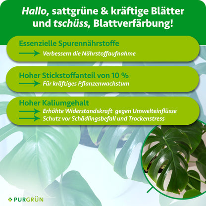 Monstera-Dünger 1 Liter