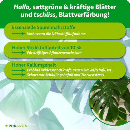 Monstera-Dünger 1 Liter