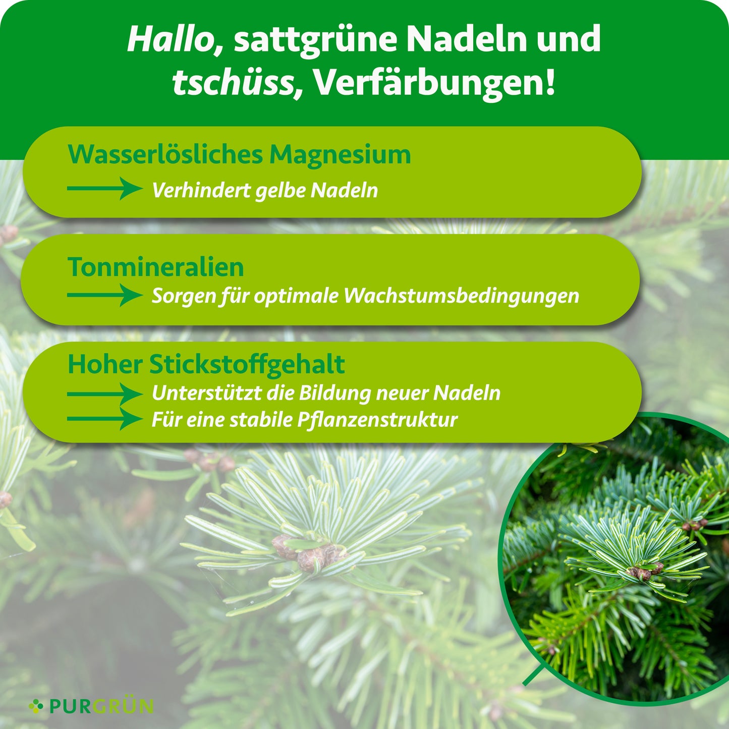 Nordmanntanne-Dünger 1 kg