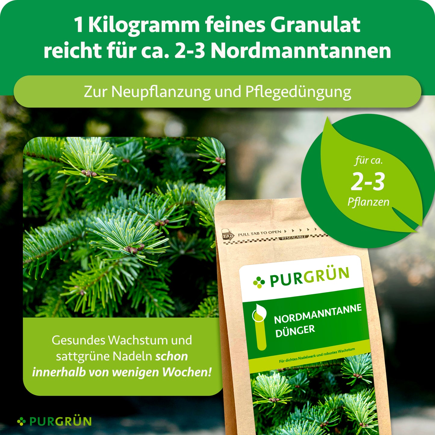 Nordmanntanne-Dünger 1 kg
